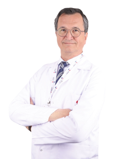 Prof. Dr. Mehmet Zileli